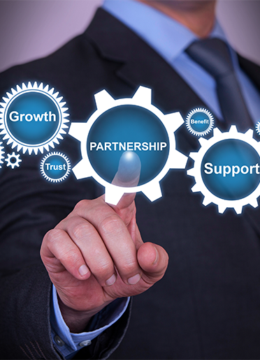 alternative description for image