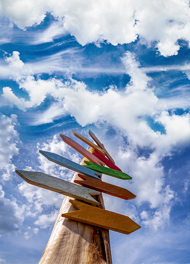 alternative description for image